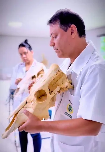 Curso de Medicina Veterinária IESGO